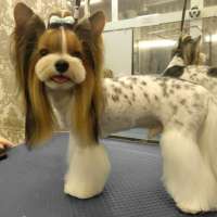 Фото работ Светлана