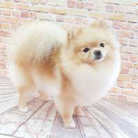 Фото работ Наталья