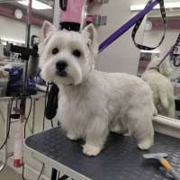 Фото работ Елена К