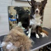 Фото работ Александра