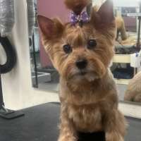 Фото работ Олеся С