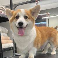 Фото работ Милана