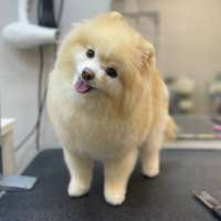 Фото работ Александра