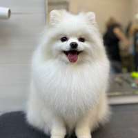 Фото работ Александра