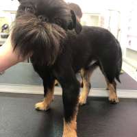 Фото работ Елизавета