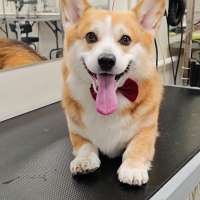 Фото работ Елена И.