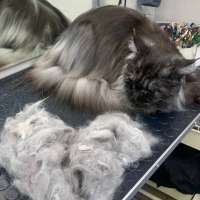 Фото работ Анна К.