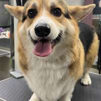 Фото работ Милана