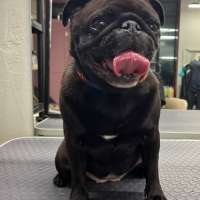 Фото работ Милана