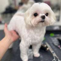 Фото работ Полина