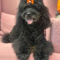 Фото работ Светлана М.