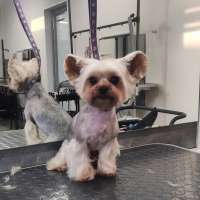 Фото работ Елизавета