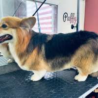 Фото работ Юлия