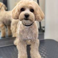 Фото работ Юлия