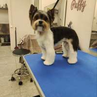 Фото работ Елена