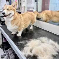 Фото работ Мария