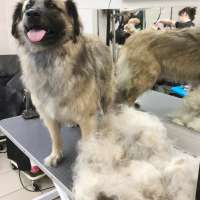 Фото работ Ольга Л