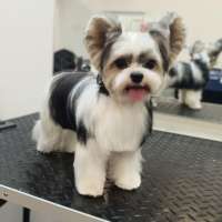 Фото работ Елена