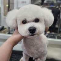 Фото работ Светлана