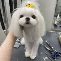 Фото работ Наталья