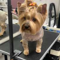 Фото работ Олеся С