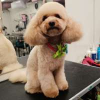 Фото работ Елена И.