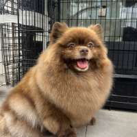 Фото работ Елизавета