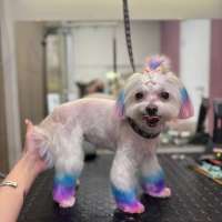 Фото работ Анна Р