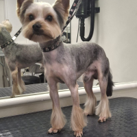 Фото работ Галина