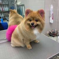 Фото работ Анна К.