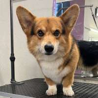 Фото работ Милана