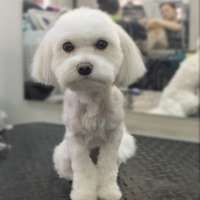 Фото работ Ксения