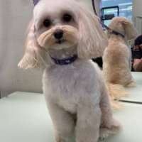 Фото работ Наталья