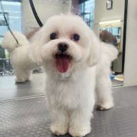 Фото работ Милана