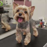 Фото работ Елена И.