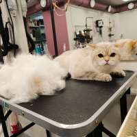 Фото работ Елена И.