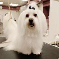 Фото работ Елена И.