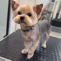 Фото работ Анастасия Н