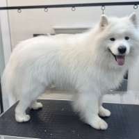 Фото работ Анастасия Н