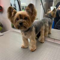 Фото работ Анна К.