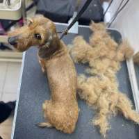 Фото работ Александра