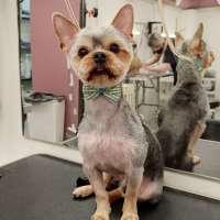 Фото работ Елена И.