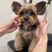 Фото работ Полина