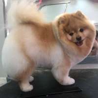 Фото работ Елизавета