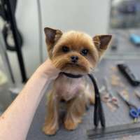 Фото работ Наталья