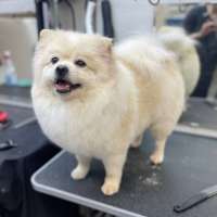 Фото работ Александра