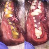 Фото работ Анна К.