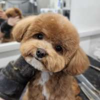 Фото работ Светлана