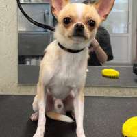 Фото работ Милана