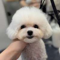 Фото работ Юлия